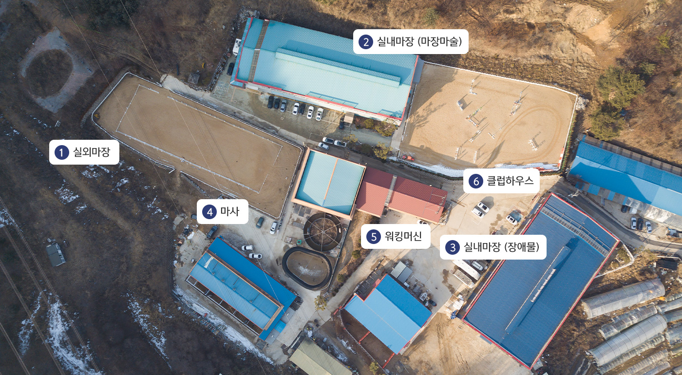 에이스승마랜드시설